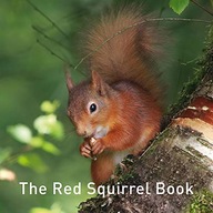 The Red Squirrel Book Russ Jane