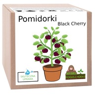 ZESTAW DO UPRAWY POMIDOR KOKTAJLOWY BLACK CHERRY