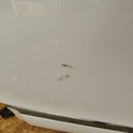 door rear. rear part left RENAULT SCENIC III BIALA PERLA