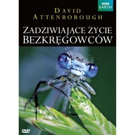 FILM Zadziwiające życie bezkręgowców. Attenborough David DVD