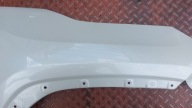 fender right front TOYOTA RAV4 V 19