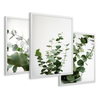 ZESTAW Obrazy w ramie plakaty eukaliptus zielone liście tryptyk 43x99