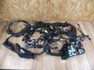 Toyota C-HR e 2.0 GR cablaggio instalacje cavi Motore