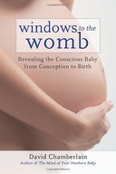 Windows to the Womb: Revealing the Conscious Baby