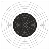 Tarcze strzeleckie do Psp 50x50 50 szt pistolet