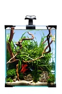 Zestaw akwarystyczny Krewetkarium Nano Led 20L