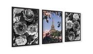 Sada plagátov grafiky A3 30x40 Paríž ruže kvety