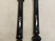 TESLA MODEL Y 2023r shock absorber rear part left right 1188463-00-E