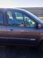 door right front front Renault Scenic 2 II 03-09 kod lakieru TEC68