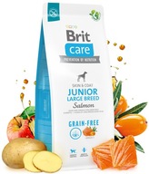 Brit Care Dog Grain-Free Junior Large Salmon 12kg