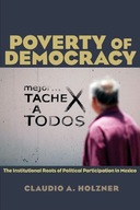 Poverty of Democracy: The Institutional Roots of