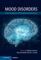 Mood Disorders: Brain Imaging and Therapeutic
