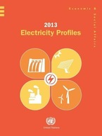 2013 electricity profiles United Nations: