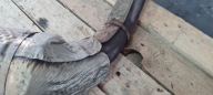Ford Edge II 2020 ST LIFT catalyst filter exhaust pipe 2.7 V6 K2G35E213VC