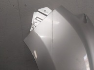PARAFANGO ANTERIORE SINISTRA DACIA DUSTER II 2