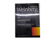 Teoria pól kwantowych t.2 - Steven Weinberg