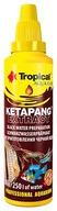 Tropical 30ml KETAPANG EXTRAKT