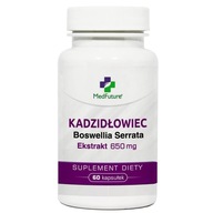 Kadidlovník Boswellia serrata extrakt 500 mg