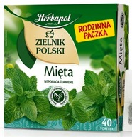 Herbata Herbapol Mięta Zielnik Polski 40 t XXL