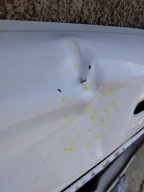 trunk door boot rear part rear RENAULT KANGOO II III 08-21