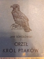 J. Sokołowski ORZEŁ KRÓL PTAKÓW