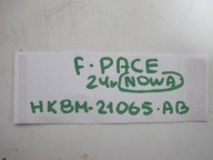 moulding door front left JAGUAR F-PACE HK8M-21065A-BW