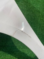 fender front left RENAULT CLIO III 195