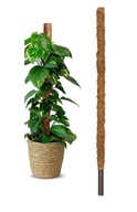 Palik Kokosowy Tyczka Podpora do Roślin 120cm