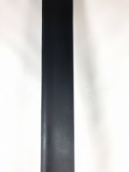 Dodge Challenger Widebody 2015-23 cap threshold threshold moulding left