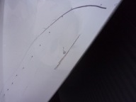 MERCEDES R231 SL 400 Cofano A2318800000