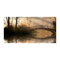 Panel lacobel Stary most jesienią 100x50 cm + KLEJ