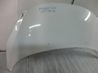 cofano Peugeot 207 06-12r