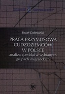 PRACA PRZYMUSOWA CUDZOZIEMCÓW W POLSCE