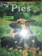 Pies - Pierre Rousselet-Blanc