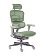 Fotel biurowy Ergohuman 2 Elite Siatka Zielony