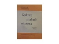 Sądowe ustalenie ojcostwa - Z. Krzemiński