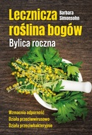 Lecznicza roślina bogów. Bylica roczna