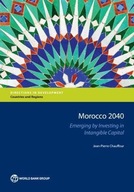 Morocco 2040: Emerging by Investing in Intangible