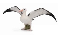 Albatros sťahovavý L