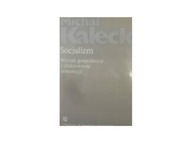 Socjalizm 4 - Kalecki