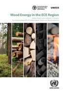Wood energy in the ECE region: data, trends and
