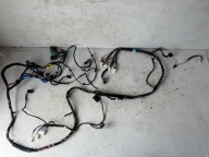 bundle wiring of the threshold TESLA MODEL S right