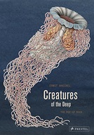 Creatures of the Deep: The Pop-up Book Haeckel