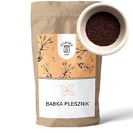 BABKA PŁESZNIK BŁONNIK nasiona POLSKIE 500g