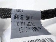 kabelbaum kabelsatz Tür rechts oder links heck AUDI Q5 FY 80A971687C