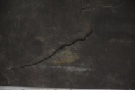 door rear. * rear part right BERLINGO II PARTNER III