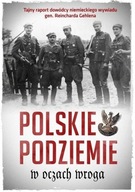 Polskie podziemie w oczach wroga w.2