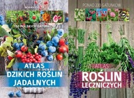 Atlas dzikich roślin jadalnych + leczniczych