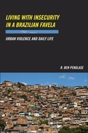 Living with Insecurity in a Brazilian Favela: