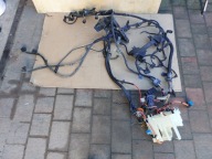 bundle electrical of the engine BMW Z4 E85 2.0iI N46